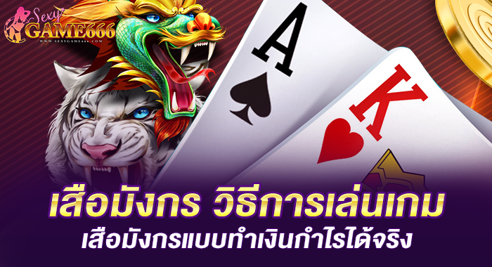 เสือมังกร วิธีการเล่นเกมเสือมังกรแบบทำเงินกำไรได้จริง