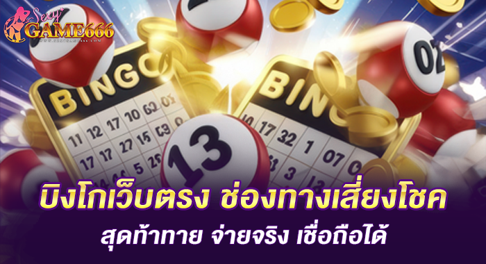บิงโกเว็บตรง ช่องทางเสี่ยงโชคสุดท้าทาย จ่ายจริง เชื่อถือได้