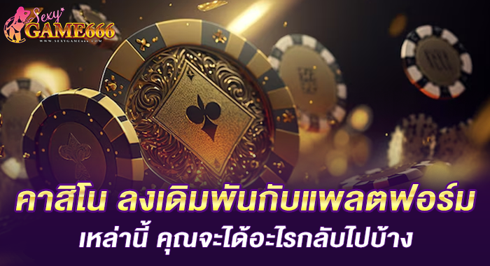 คาสิโน ลงเดิมพันกับแพลตฟอร์มเหล่านี้ คุณจะได้อะไรกลับไปบ้าง