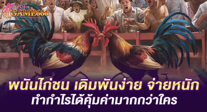 พนันไก่ชน เดิมพันง่าย จ่ายหนัก ทำกำไรได้คุ้มค่ามากกว่าใคร