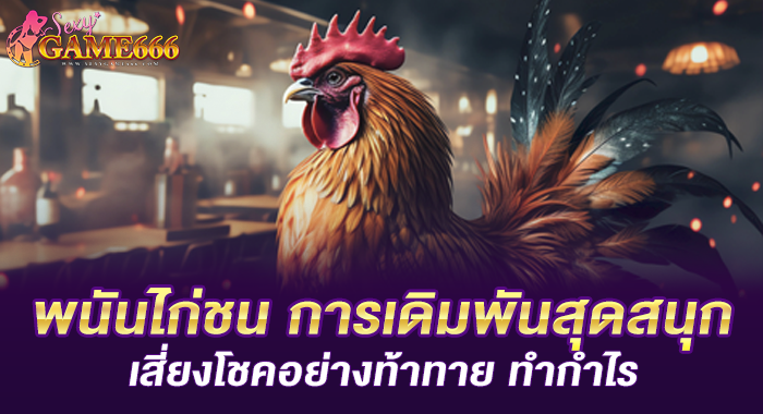 พนันไก่ชน การเดิมพันสุดสนุก เสี่ยงโชคอย่างท้าทาย ทำกำไร
